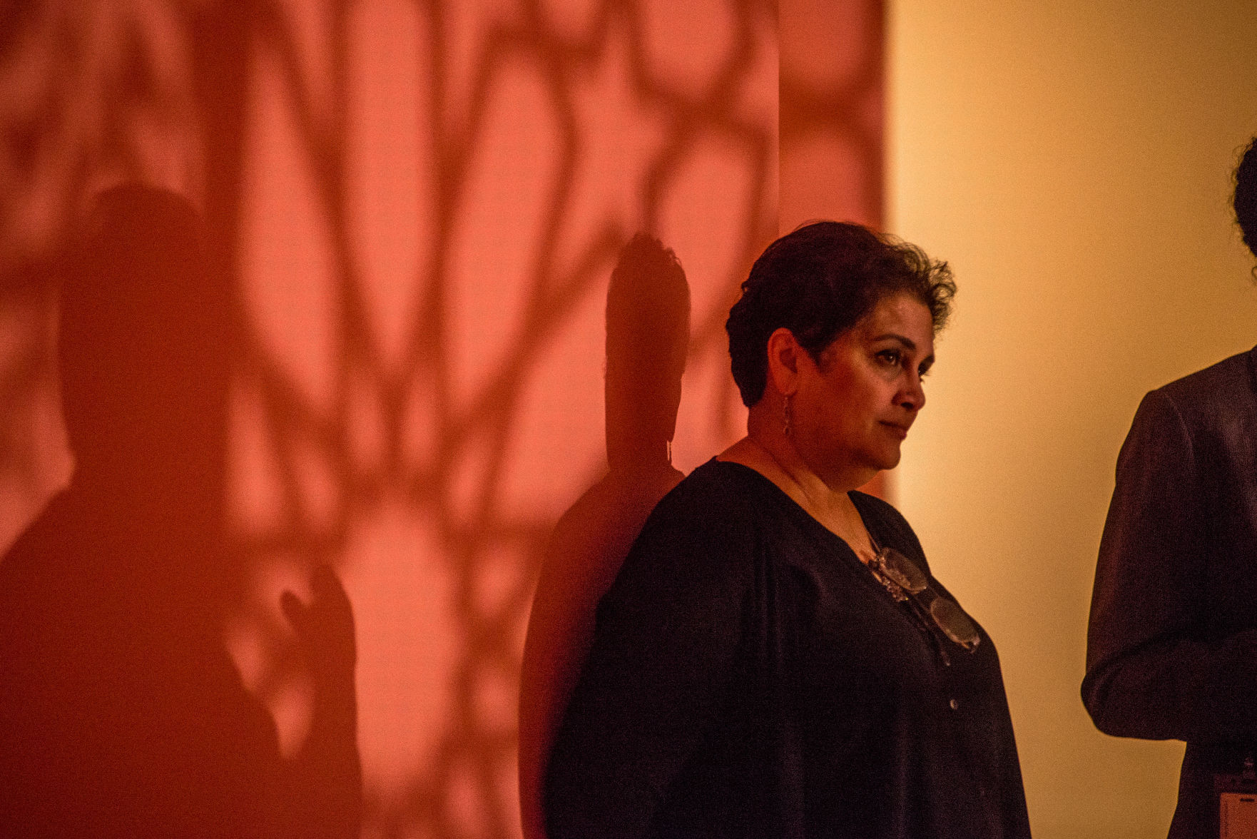 New Anila Quayyum Agha exhibit at Philbrook